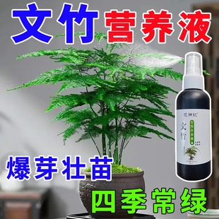 新店半折 文竹专用肥营养液治叶子发黄枯瘦干尖烂根落叶促生长