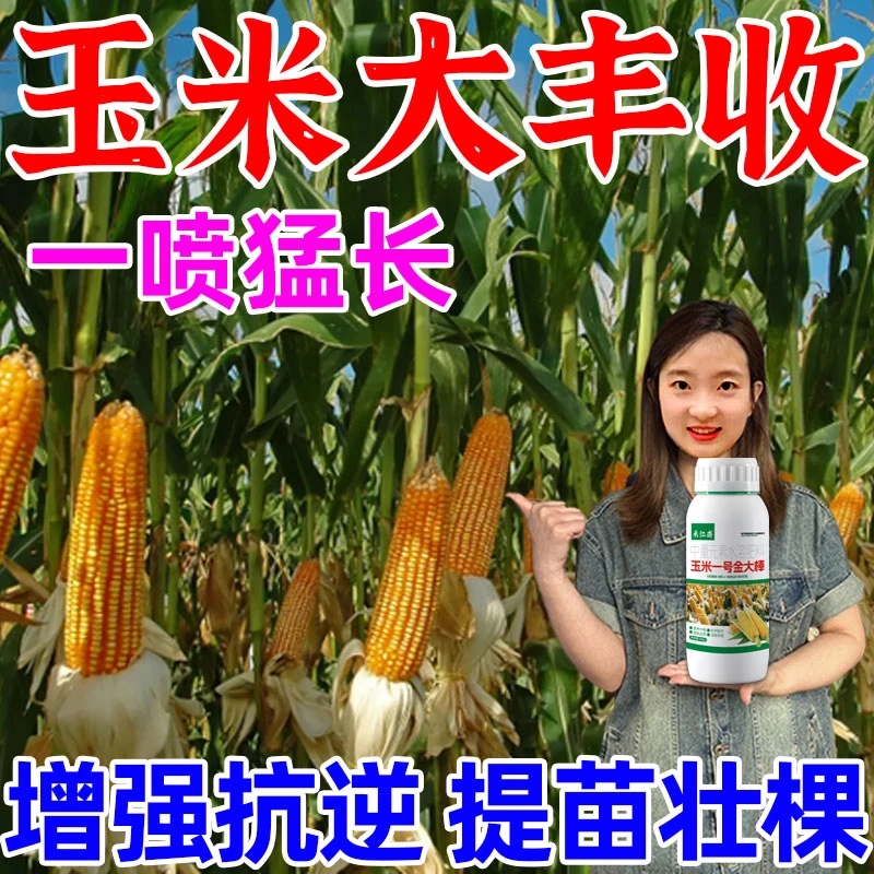 玉米金一号大棒促根壮苗叶面肥