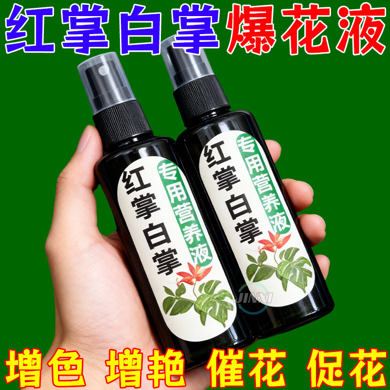 白掌红掌专用营养液保花治黄叶
