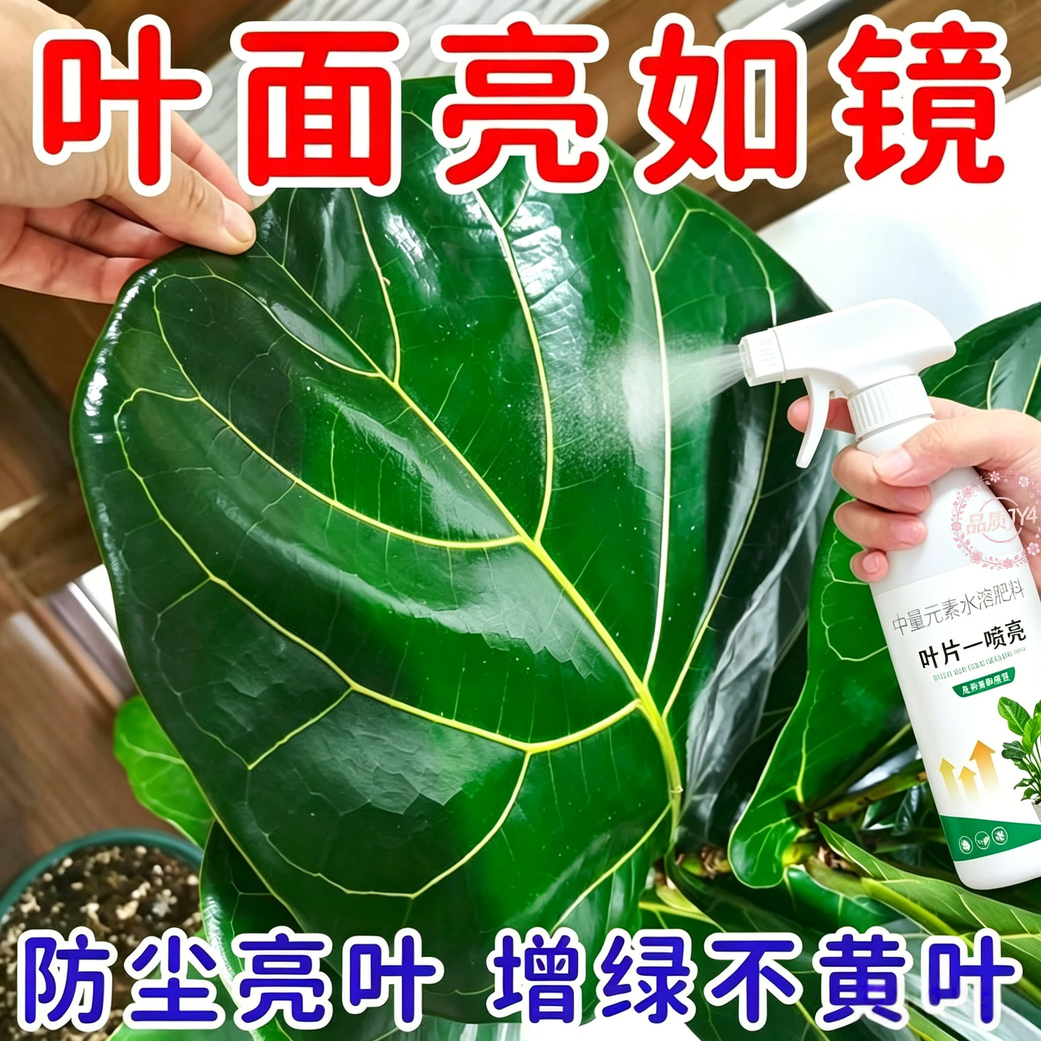 花卉叶面光亮剂增绿防尘喷雾