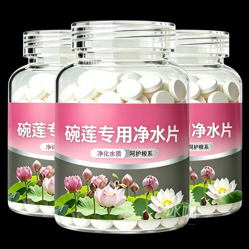 碗莲水培植物净水保鲜剂