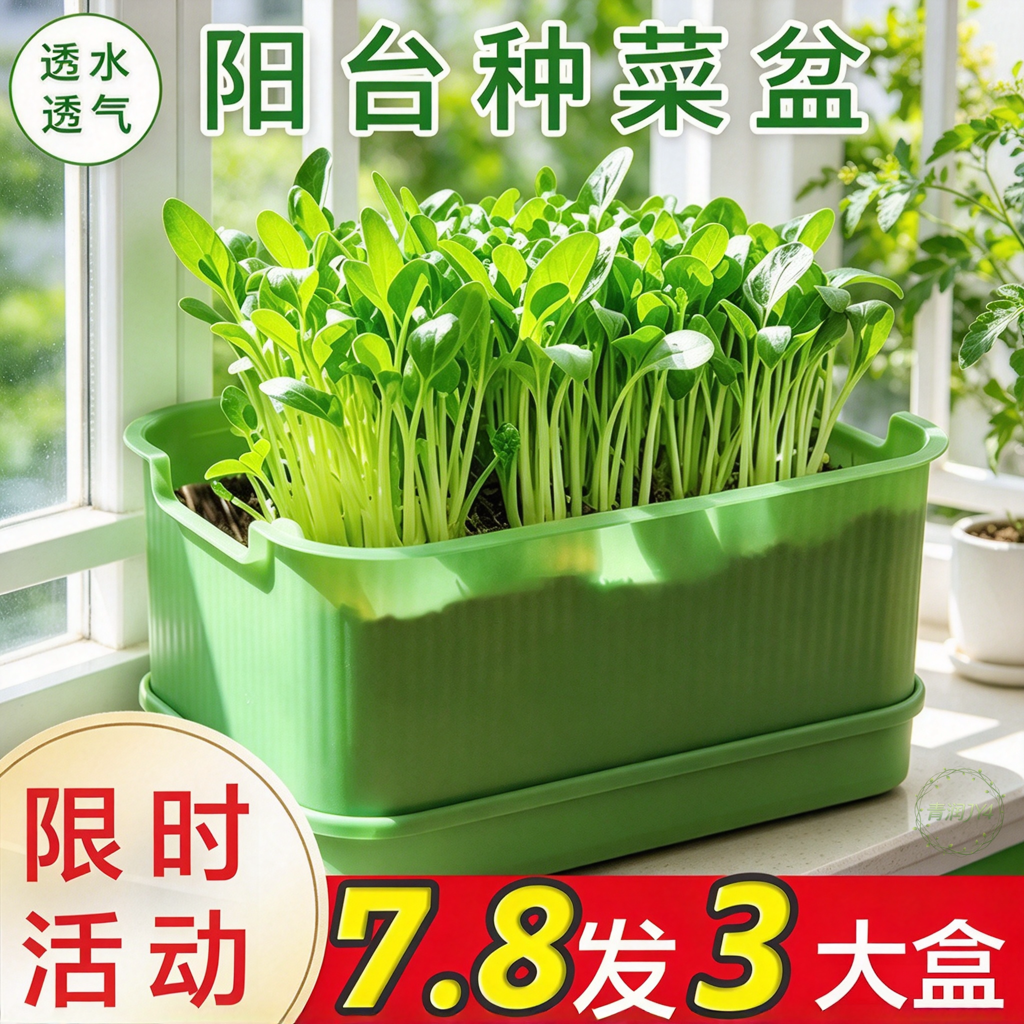 阳台种菜塑料长条花盆
