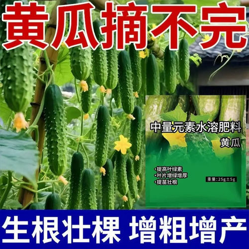 翠嫩防老】种黄瓜的肥料水果黄瓜专用肥料拉长拉直防黄叶蔬菜肥料
