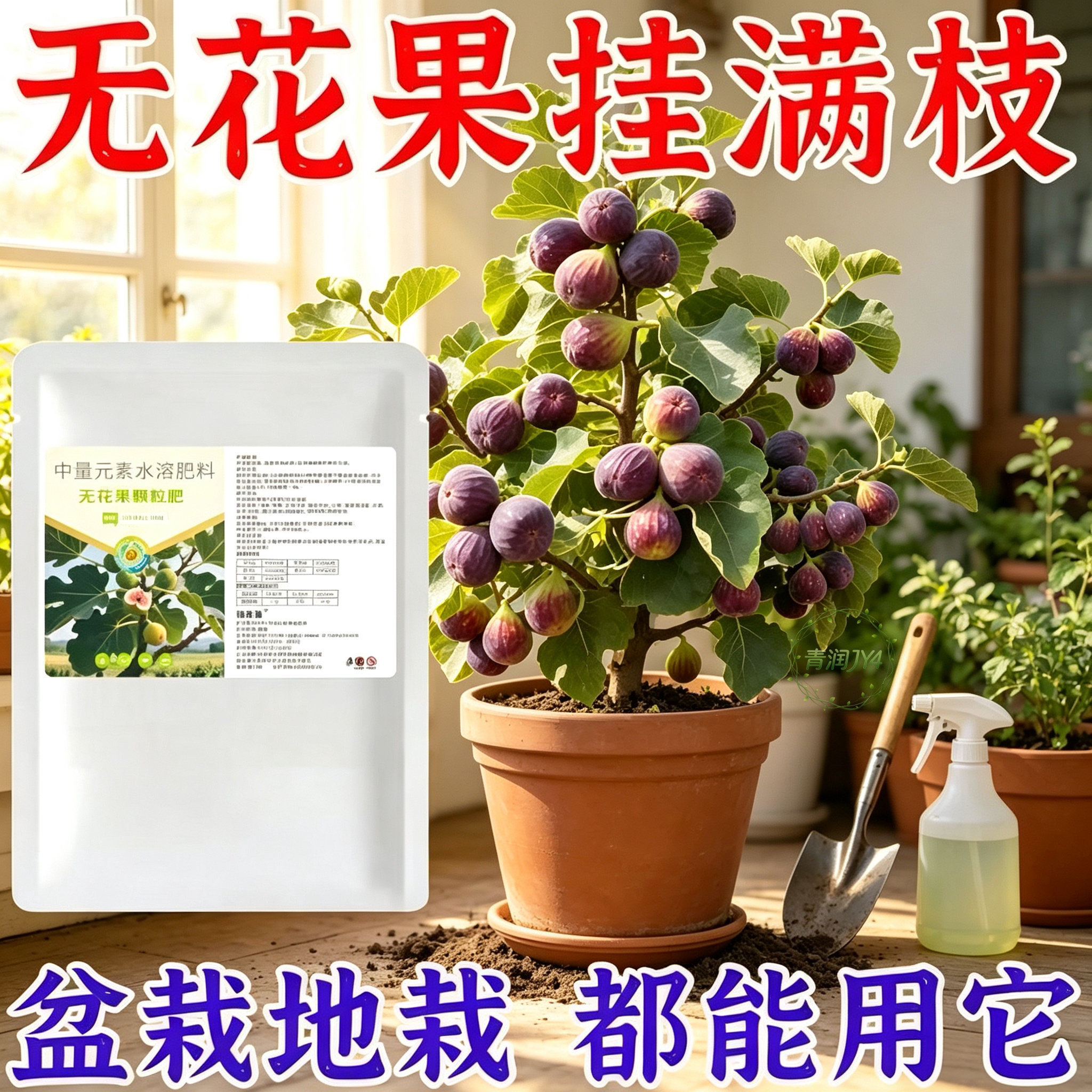无花果树水溶肥促坐果防落果