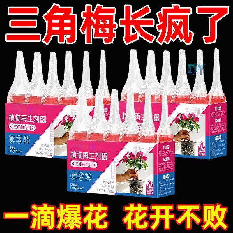 三角梅开花专用营养液爆花骨粉