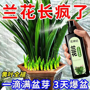 黄叶急救 兰花营养液爆根剂催根促苞防枯萎不开花通用有机肥料