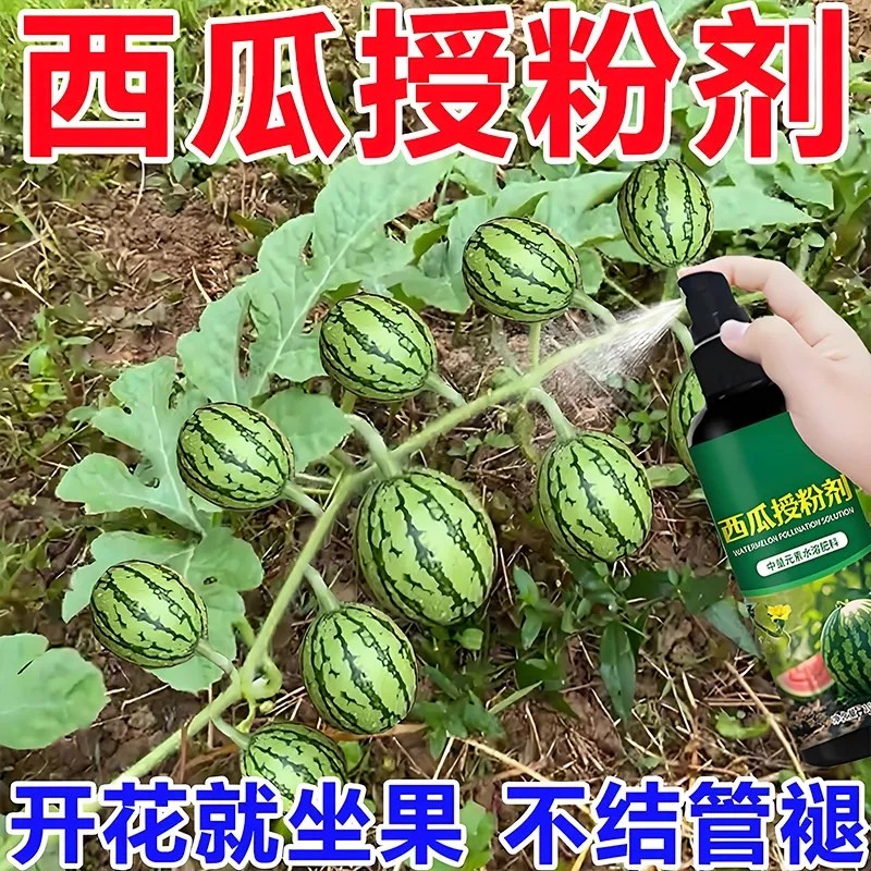 西瓜授粉专用药点花药免沾花授粉坐果精保花保果素防落防畸叶面肥