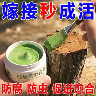 植物伤口愈合膏果树修剪保护剂嫁接防腐防菌促进愈合锁水防干裂