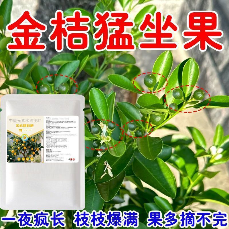 金桔树专用营养肥保花保果防落叶