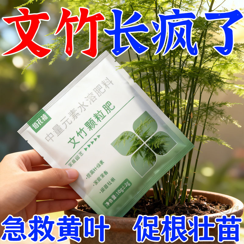 竹子专用肥料毛竹室内盆栽竹类缓释肥文竹竹土竹促芽防黄叶干尖