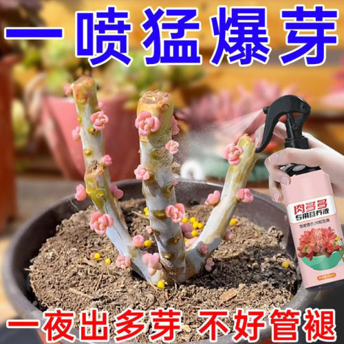 肉多多营养液催芽剂防黑腐化水多肉爆芽增肥浇花花元素园艺营养液