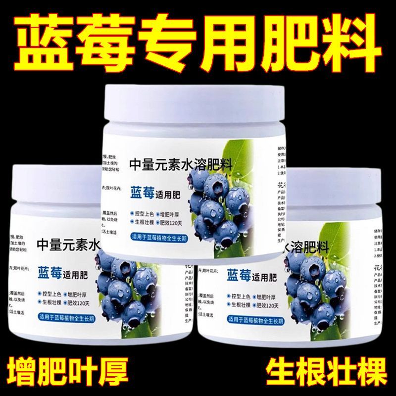 【猛坐果】蓝莓营养液促花促果防黄叶促发芽蓝莓专用肥料挂果增甜
