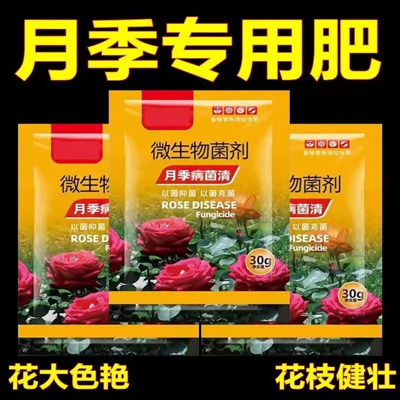 月季玫瑰缓释花肥延长花期不伤根