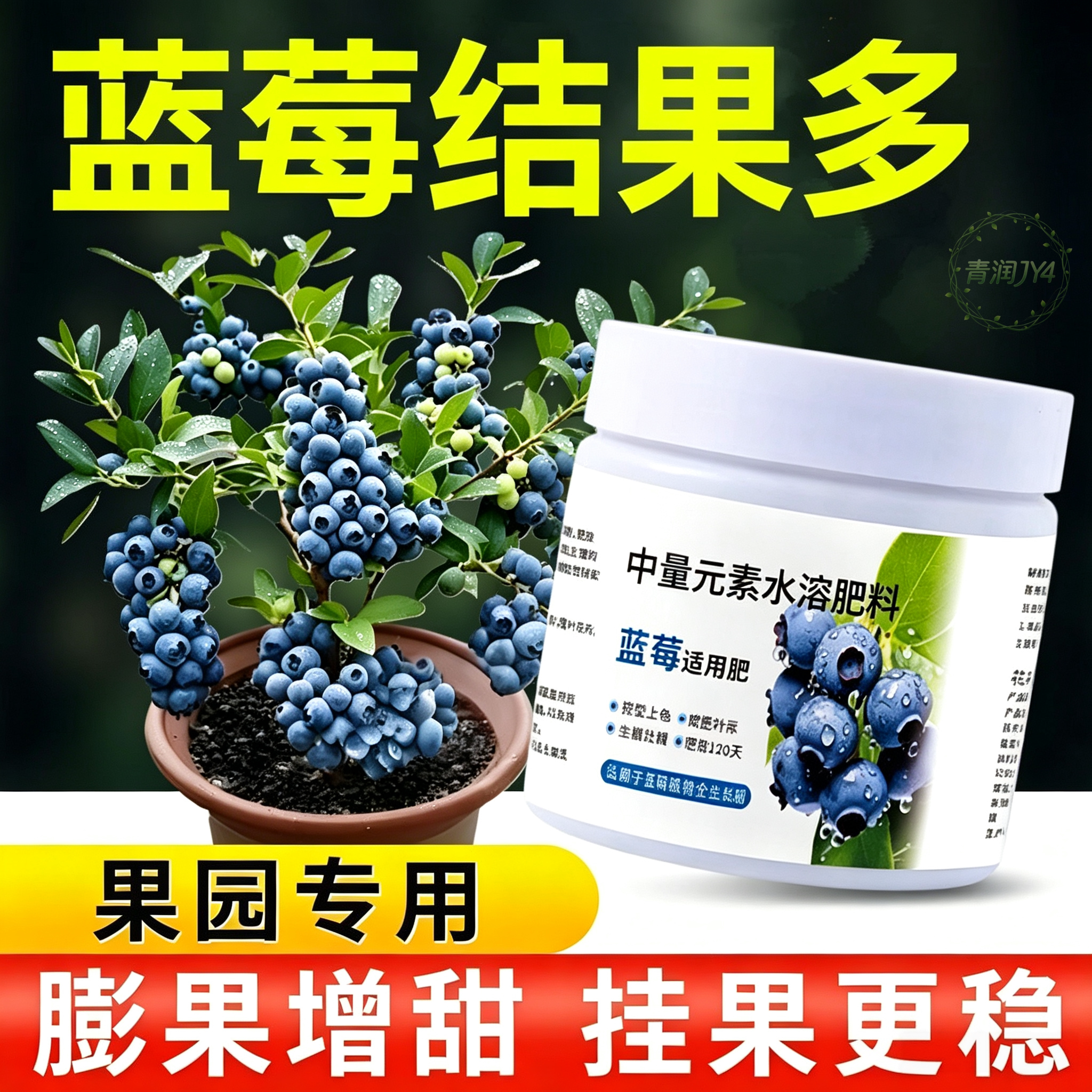 蓝莓专用水溶肥促花促果防黄叶