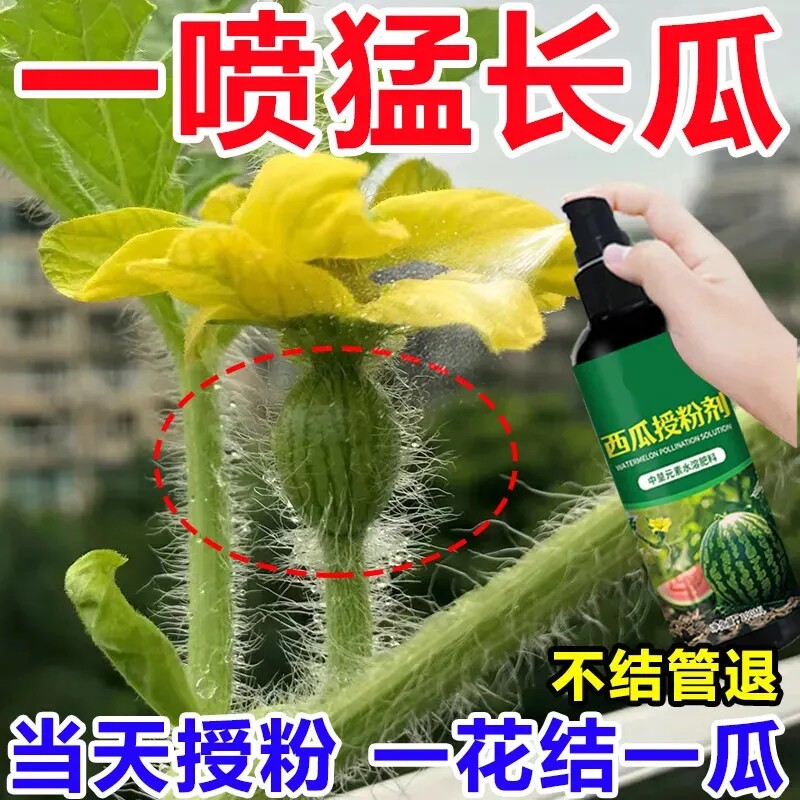 新款西瓜授粉剂点花药免沾花授粉坐果精保花保果素西瓜肥料叶面肥