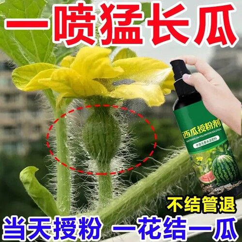 新款西瓜授粉剂点花药免沾花授粉坐果精保花保果素西瓜肥料叶面肥