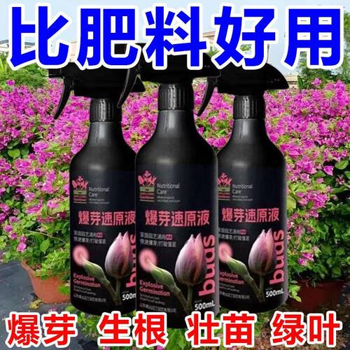 邦伯冠通用爆芽多箭营养液