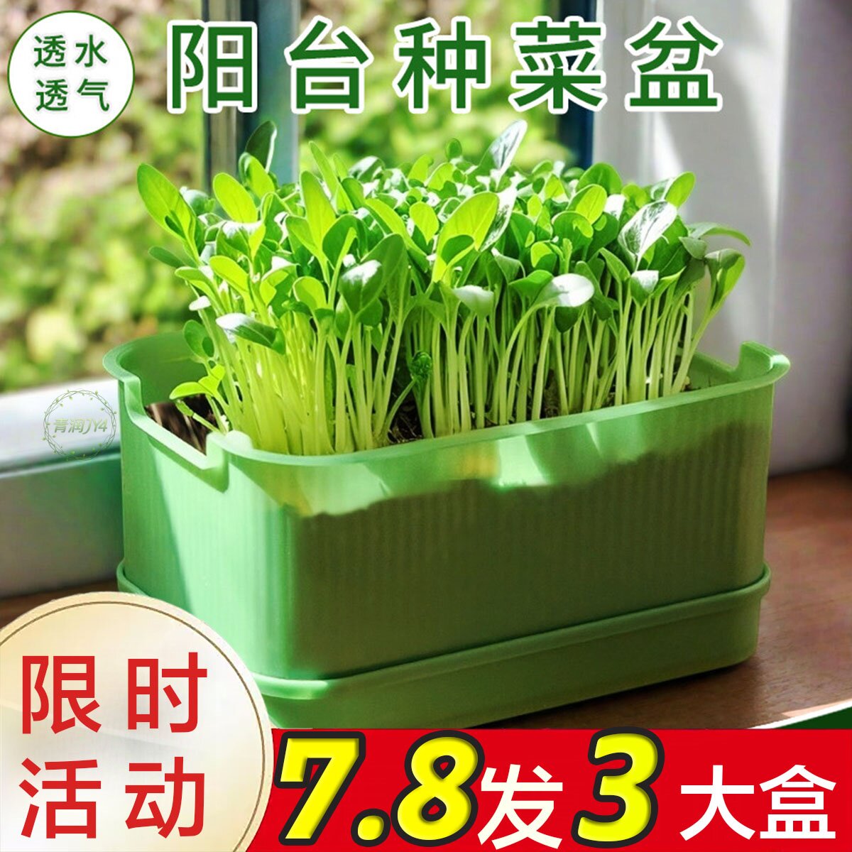 食品级家用水培发豆芽盆