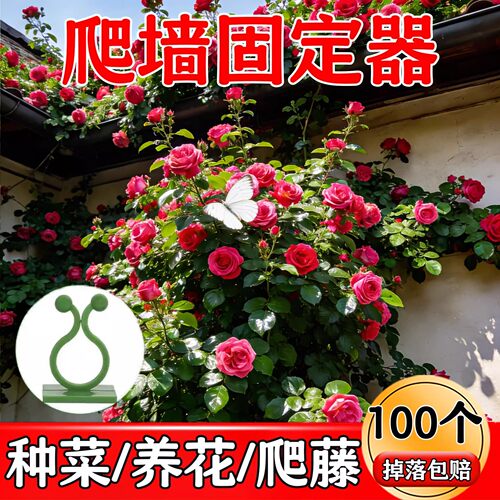 园艺支撑杆花架防倒伏塑形