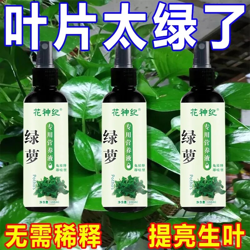 绿萝专用营养液肥料催长叶催生根防黄叶烂根黑斑掉叶家用免稀释肥