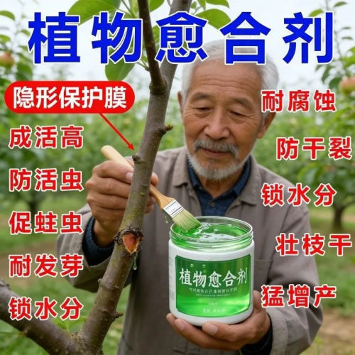 树木伤口愈合膏涂补剂盆景植物嫁接果树大树切口堆肥箱防草涂膜剂