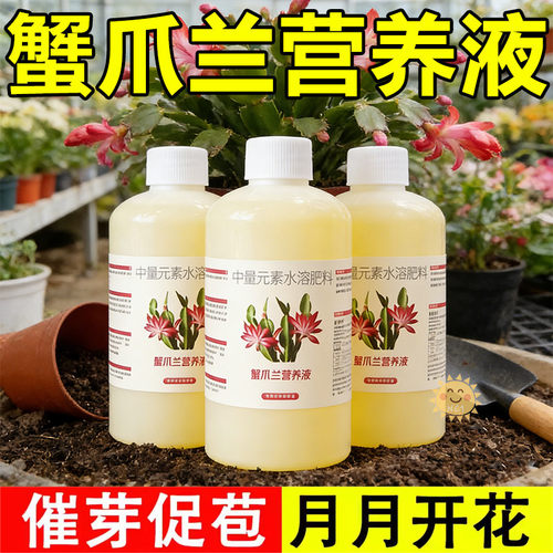 蟹爪兰专用免稀释营养液一喷绿