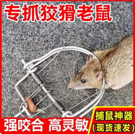 10个装强力老鼠夹捕鼠器