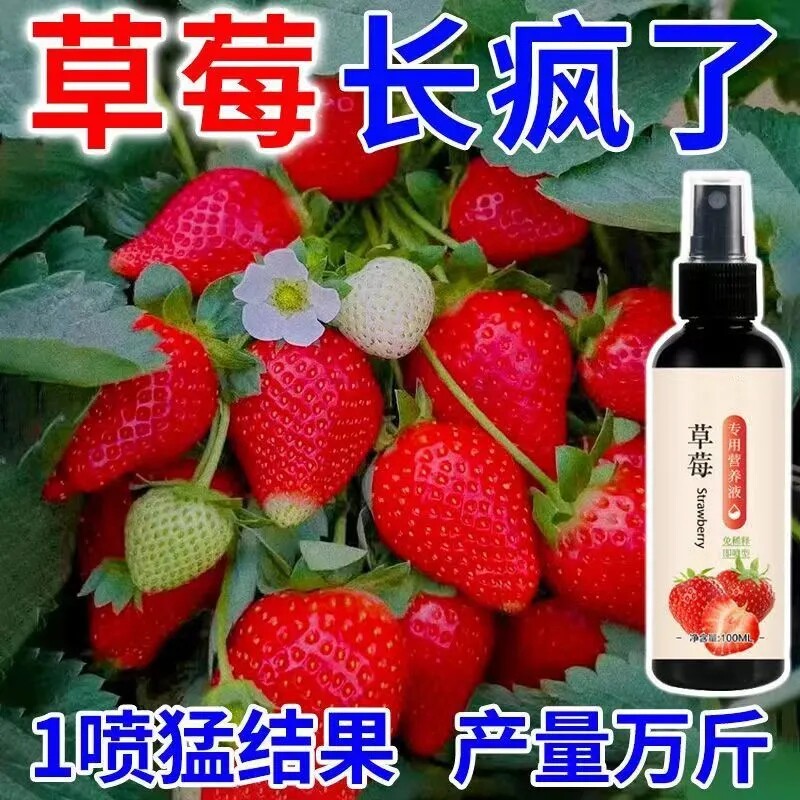 草莓专用营养液促开花保果增甜