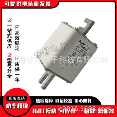 170M5013 170M5014 170M5015 170M5016 170M5017熔断器170M5018