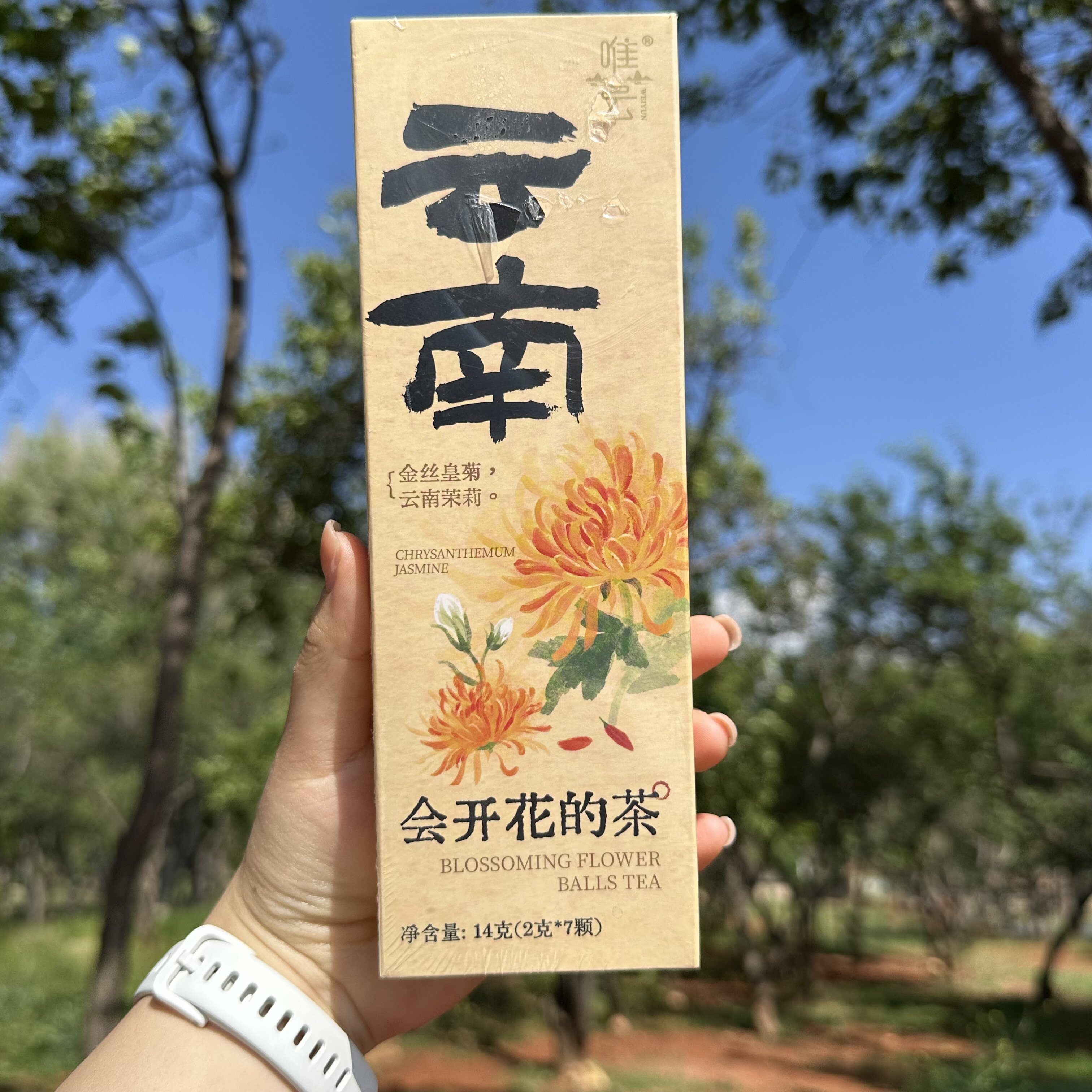 云南金丝皇菊花茶会开花的茶伴手礼大理特产龙珠花茶整朵送人礼品