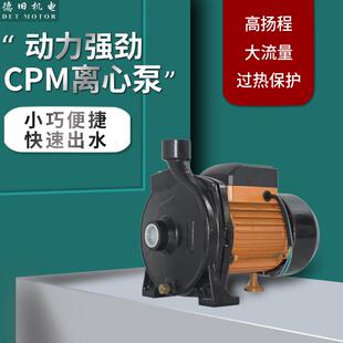 工厂直供CPM系列电动离心泵卧式铸铁水泵CPM-100高扬程大流量泵