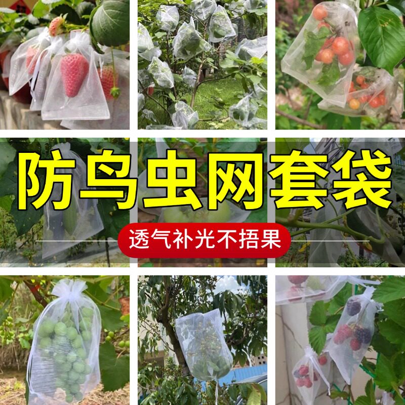 水果套袋防虫防鸟透气专用网袋葡萄无花果枇杷草莓杨桃子保护袋子