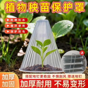 育苗保护罩大号育苗透明防冻防虫防鸟罩幼苗育苗保护罩地钉