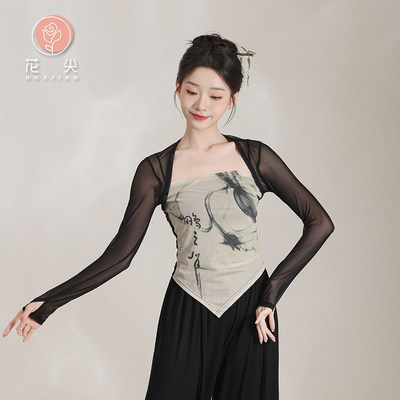 花尖古典舞服新中式水墨网纱上衣日常长袖中国舞蹈形体艺考练功服