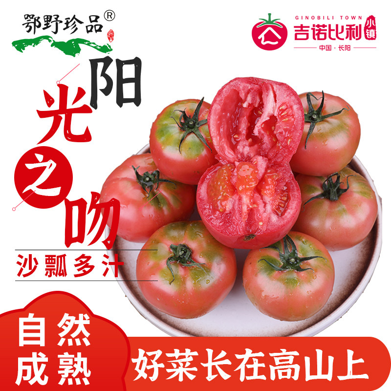鄂野珍品柿子西红柿新鲜自然熟铁皮柿子吉诺比利生吃水果番茄