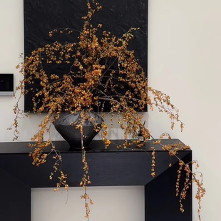 南蛇藤山归来天然植物鲜切可干花客厅桌面轻奢永生花diy装饰侘寂