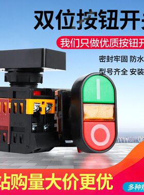 双位钮APBB-22N 椭圆双头式带灯按钮开关 高品质