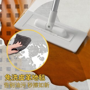 入户门地垫高级感进门门垫可擦免洗玄关脚垫防滑耐脏家用门口地毯