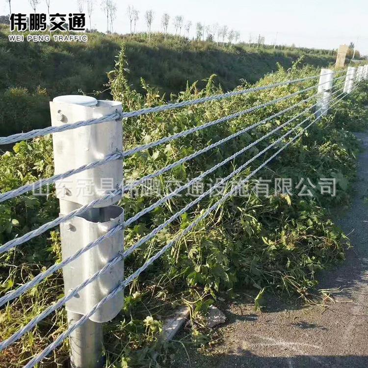 绳索护栏厂家高速公路防撞护栏 景区钢丝绳护栏网图片