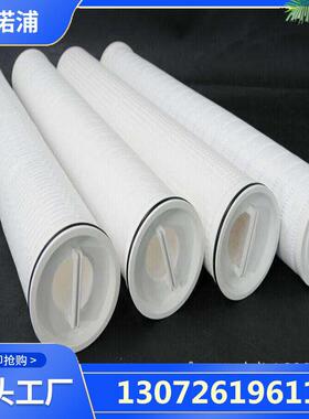 反渗透前置保安过滤器滤芯HFU660UY100J 菲诺浦过滤