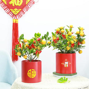 新年福桶福盆银柳冬青年宵花插花花盆花器金属金色铁艺抱抱桶花桶