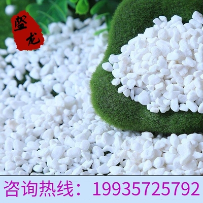 河南白石子造景小石子原石天然多肉盆栽铺面园艺花盆庭院白石子厂