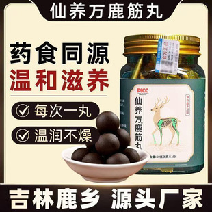 正品仙养万鹿筋丸养生丸吉林鹿乡现货药食同源即食滋补丸中老年