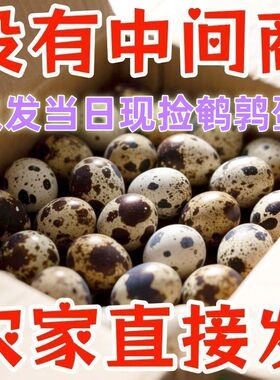 80枚【新鲜鹌鹑蛋批发】生蛋绿色杂粮生鲜蛋孕妇宝宝辅食鹑鸟蛋鲜