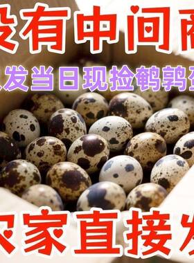 80枚【新鲜鹌鹑蛋批发】生蛋绿色杂粮生鲜蛋孕妇宝宝辅食鹑鸟蛋鲜