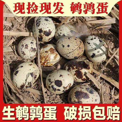 农家新鲜鹌鹑蛋孕妇宝宝辅食特产杂粮散养营养80枚新鲜到家