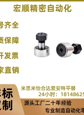 BPF21/22-d3-d4-d5-d6-d8-d10-d12-d20-d24-d30-PP凸轮轴承随动器