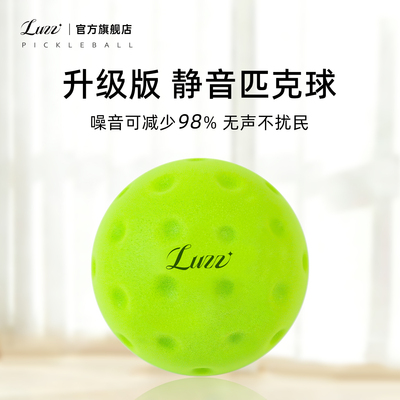 Luzz路兹室内静音匹克球专业比赛洞洞球泡菜球运动训练无声不扰民
