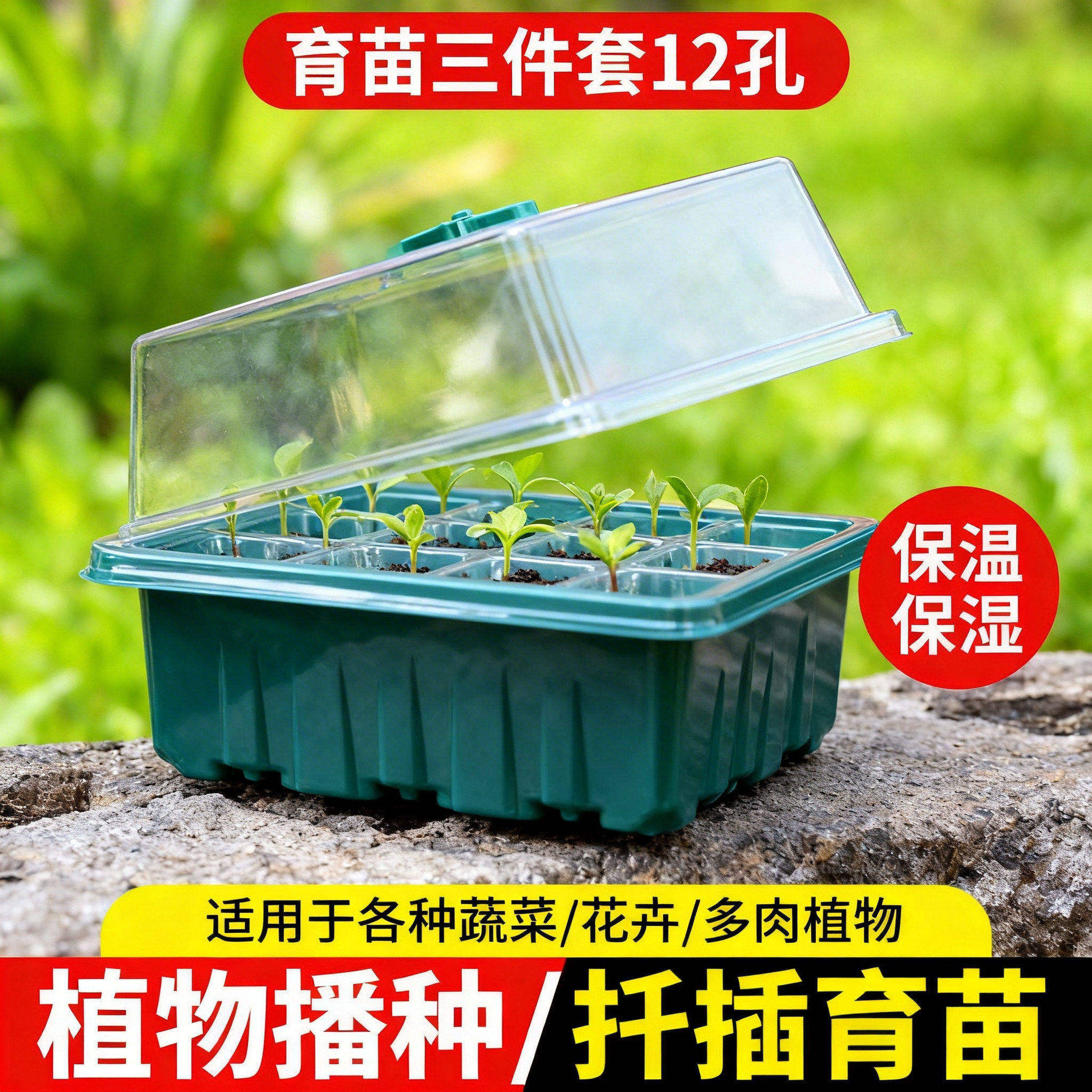 多肉叶插育苗盆三件套培养播种盒保湿温育苗盘12孔塑料育苗盒盖