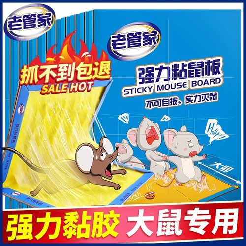 老鼠贴大号强力粘鼠版